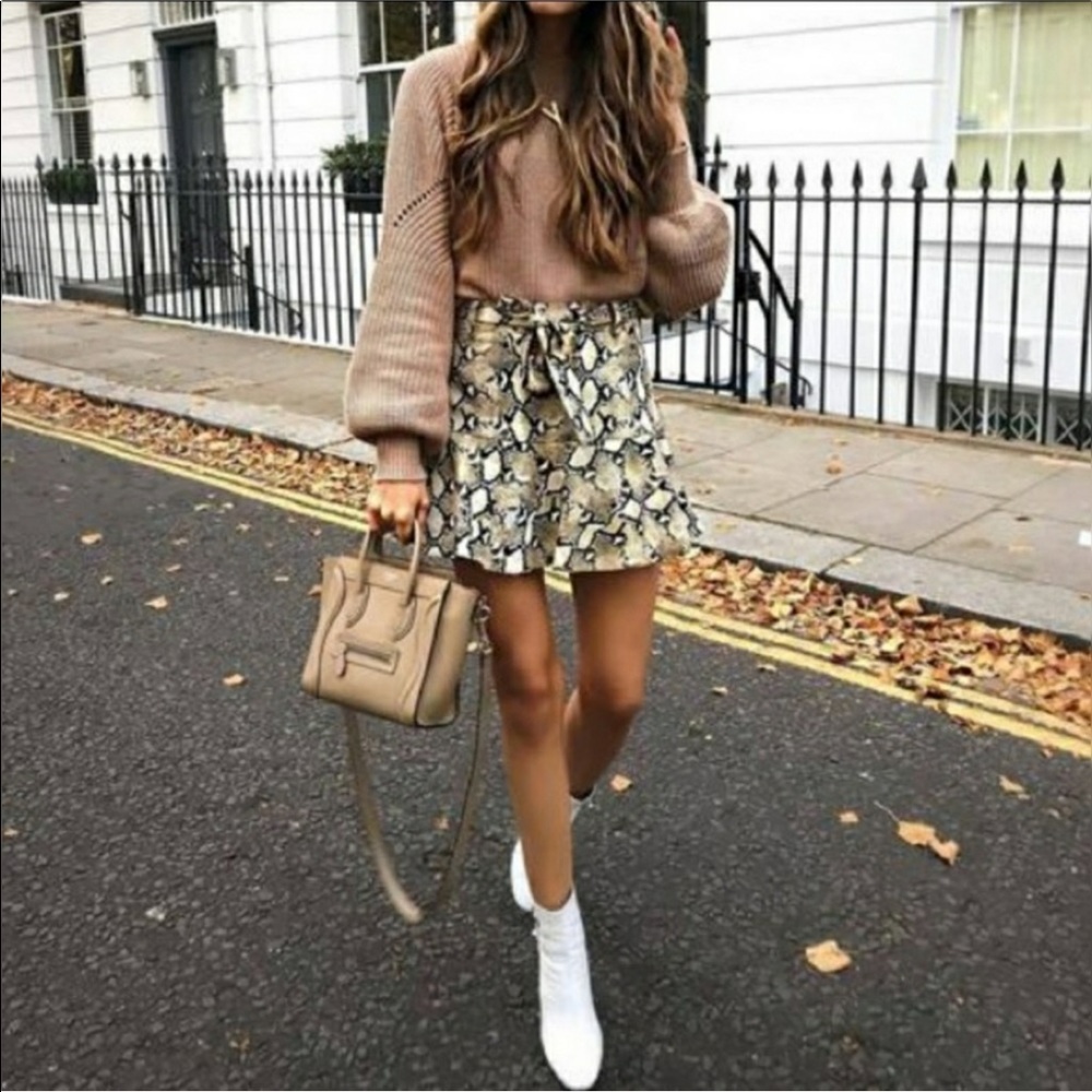 Zara snake print skort